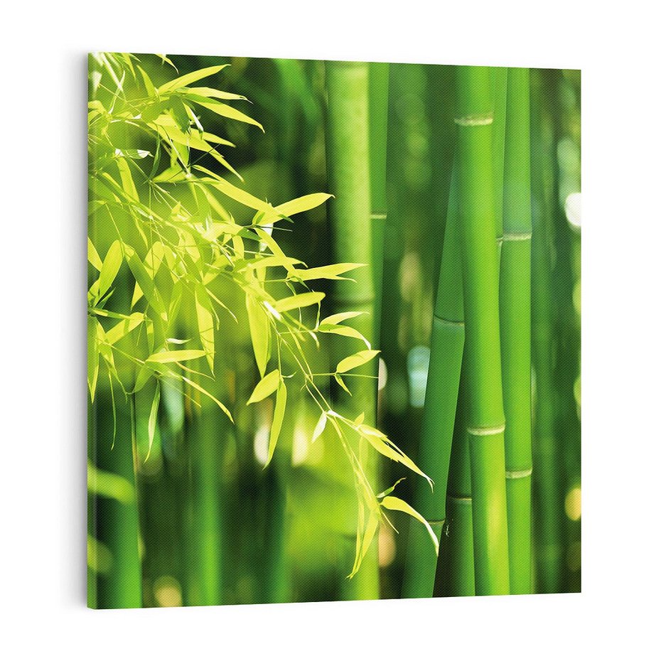 Obraz na płótnie 70x70 - Spokój bambusowego lasu SPA - bambus, drzewa