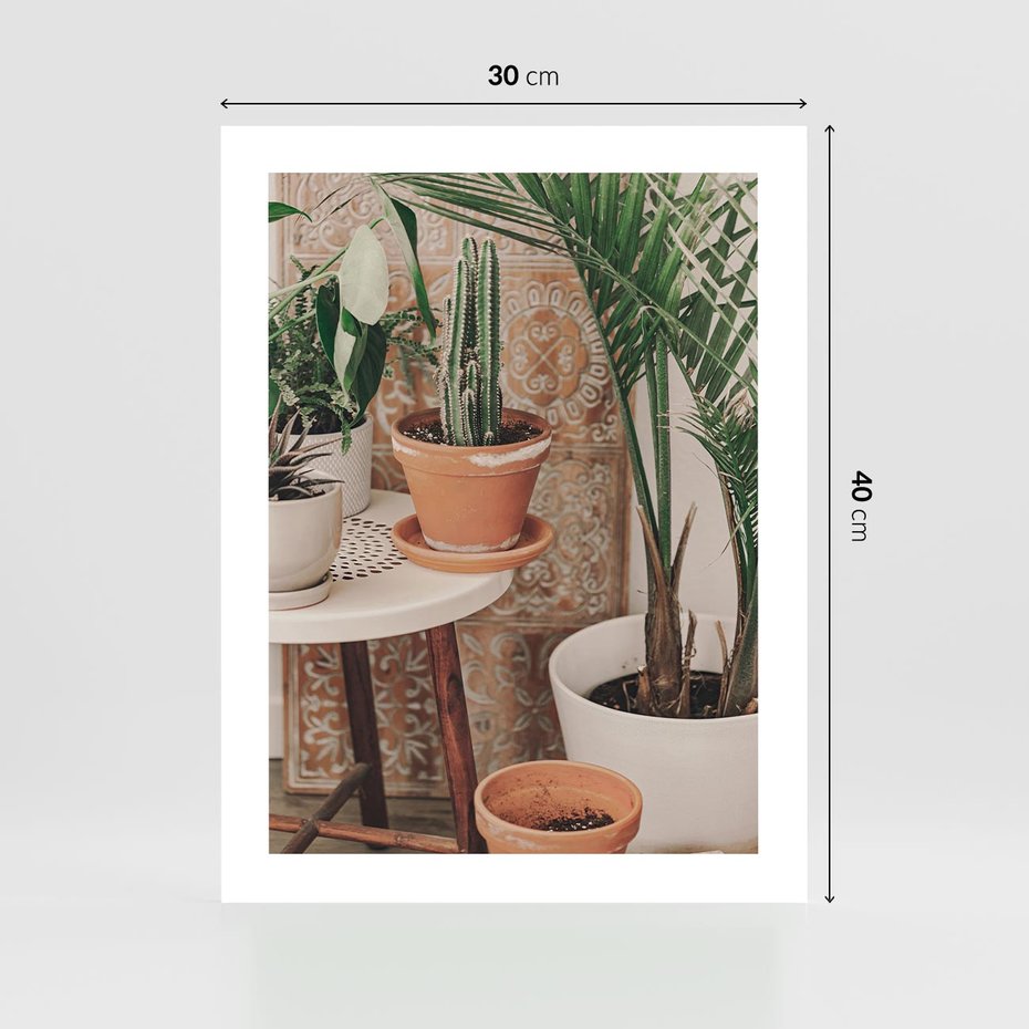 Plakat bez ramy 30x40 - Boho Oaza: Kaktusy w Doniczkach - rośliny kaktusy w doniczkach, boho wnętrze