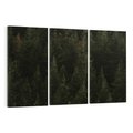 Obraz na płótnie 120x80 - Ciemny las iglasty - las, iglasty