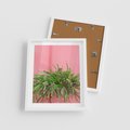 Plakat w ramie 40x50 - Fotografia Rośliny z Różowym Tłem - fotografia, zielona roślina na tle różwj ściany - rama biała