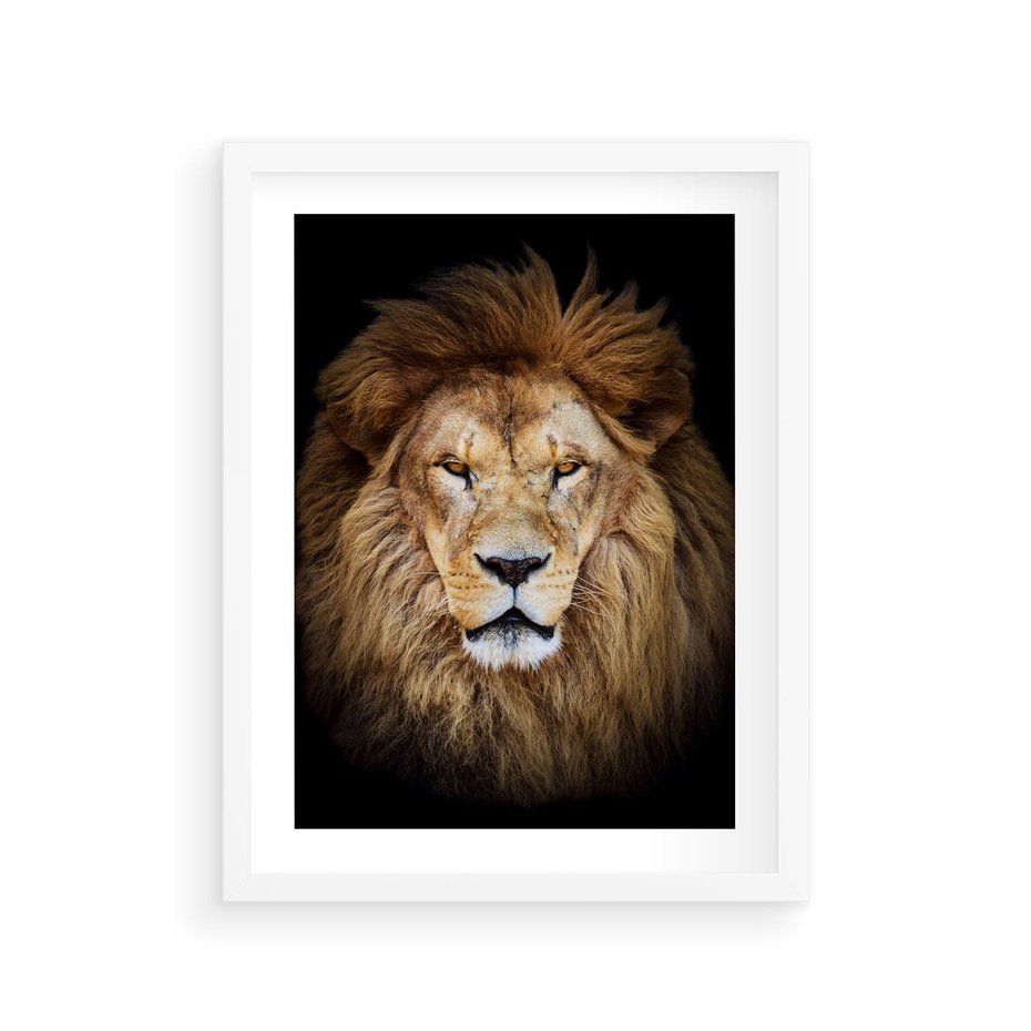 Plakat w ramie 30x40 - Król zwierząt w majestatycznym stylu - lew, król - rama biała