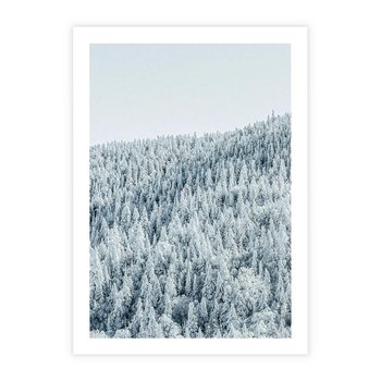 Plakat bez ramy 21x30 - Cicha Zima - las, zima