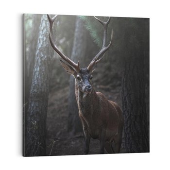 Obraz na płótnie 40x40 - Jeleń wśród lasu - jeleń, las