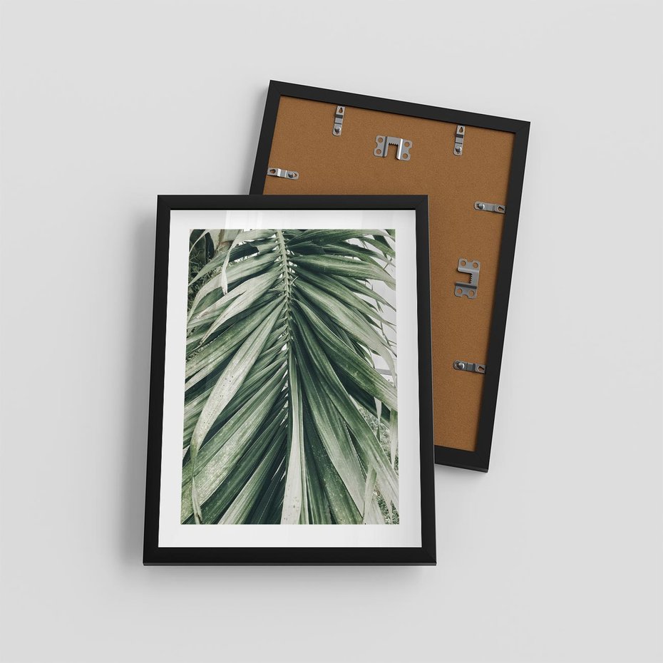 Plakat w ramie 30x40 - Spokojna Piękność Palmowych Liści - palma, liście palmy - rama czarna