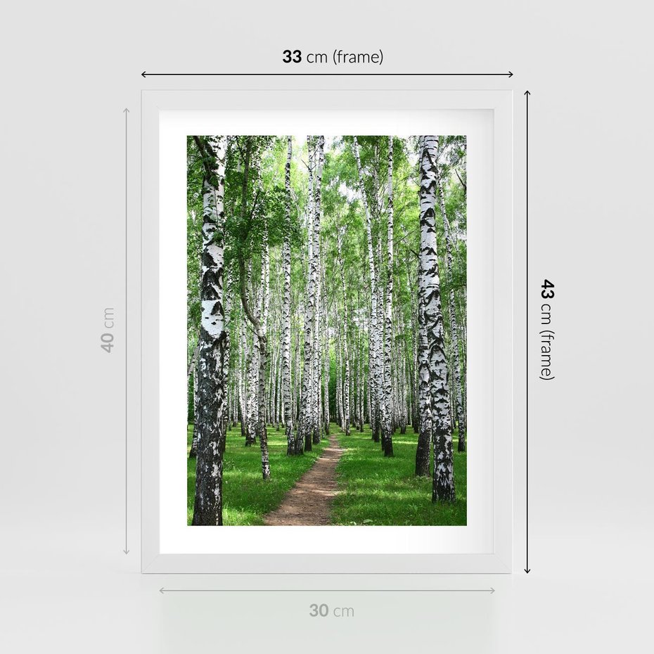 Plakat w ramie 30x40 - Magia lasu pełnego brzóz - las, brzozy - rama biała