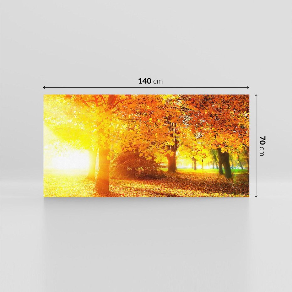 Obraz na płótnie 140x70 - Magia jesiennego lasu - las, drzewa