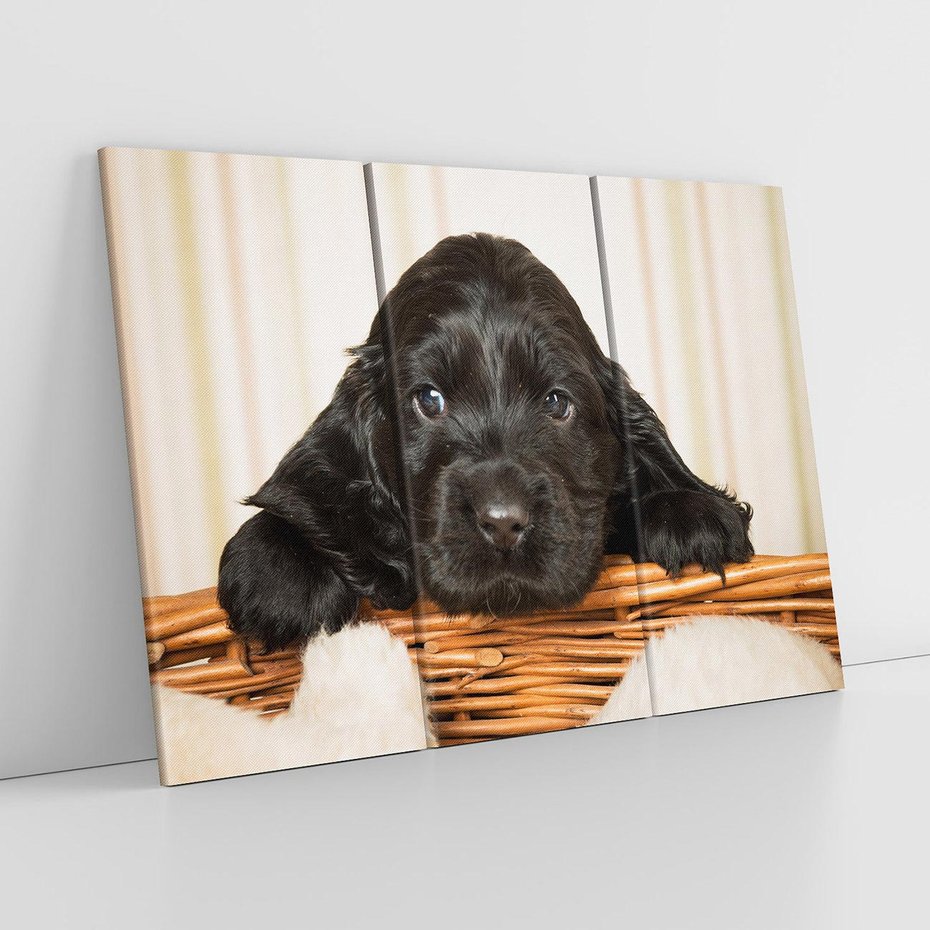 Obraz na płótnie 120x80 - Uroczy szczeniak w akcji - piesek, szczeniak