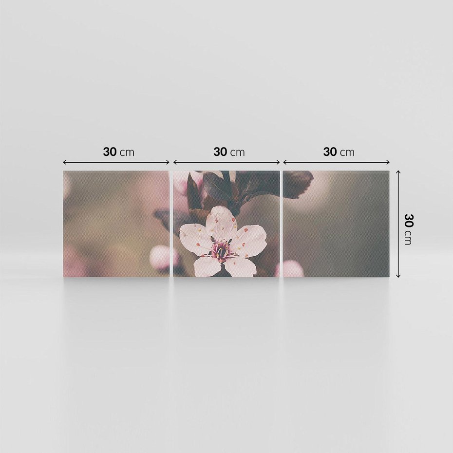 Obraz na płótnie 90x30 - Przemijający Urok - kwitnąca, wiśnia