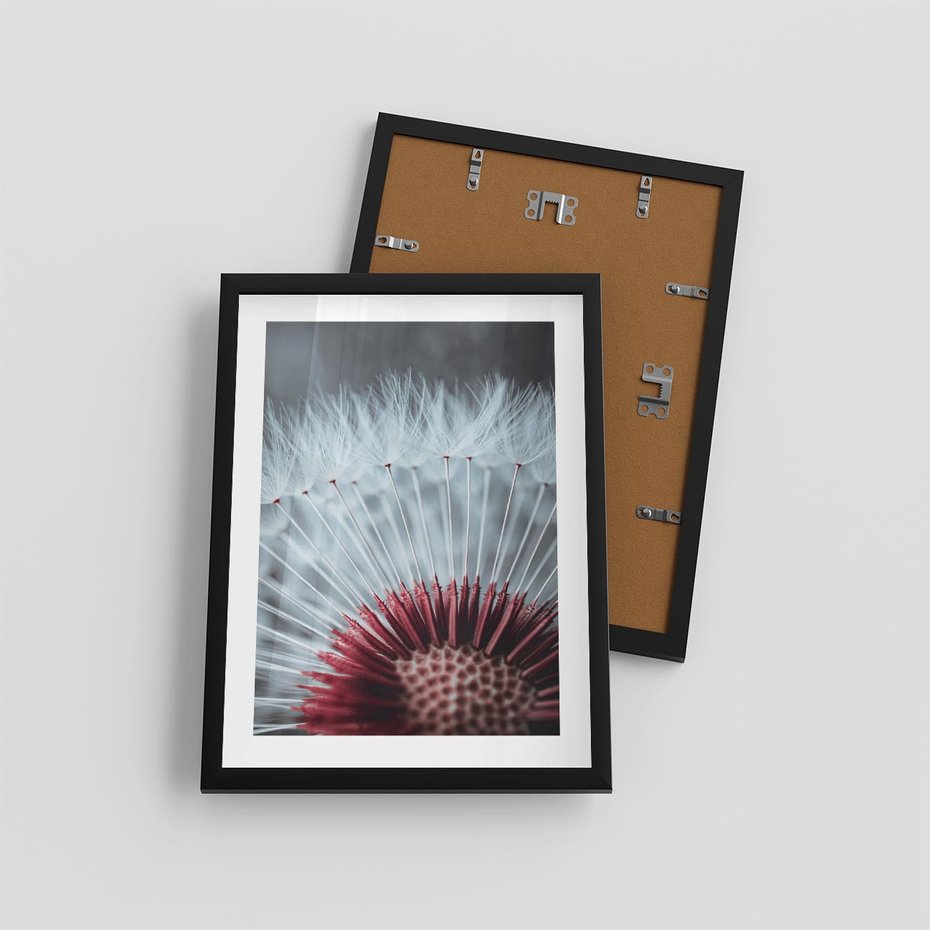 Plakat w ramie 30x40 - Dmuchawiec w Detalu - dmuchawiec, zdjęcie makro - rama czarna