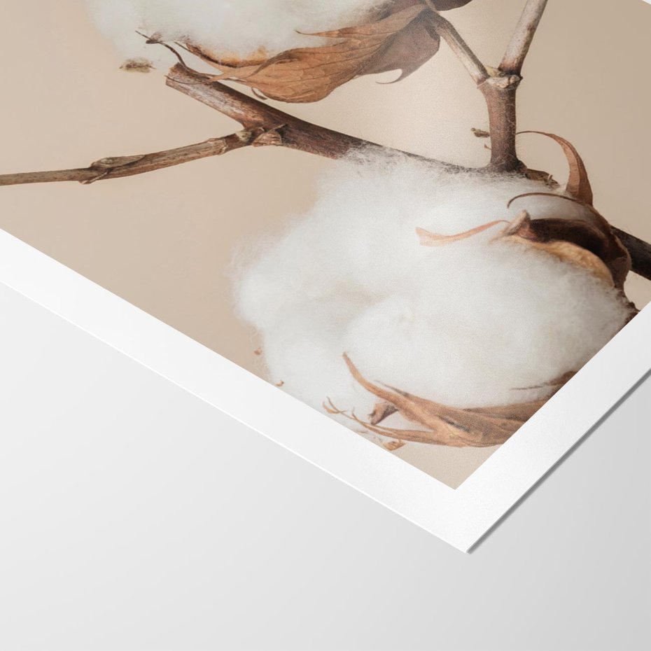 Plakat bez ramy 21x30 - Bawełniana melancholia - bawełna, suche