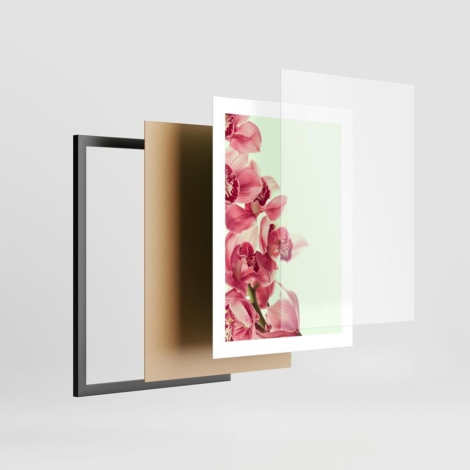 Plakat w ramie 30x40 - Orchidea - delikatne kwiaty - orchidea, kwiaty - rama czarna