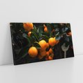 Obraz na płótnie 100x50 - Mandarynki Drzewko Urodzaju - mandarynki, drzewko