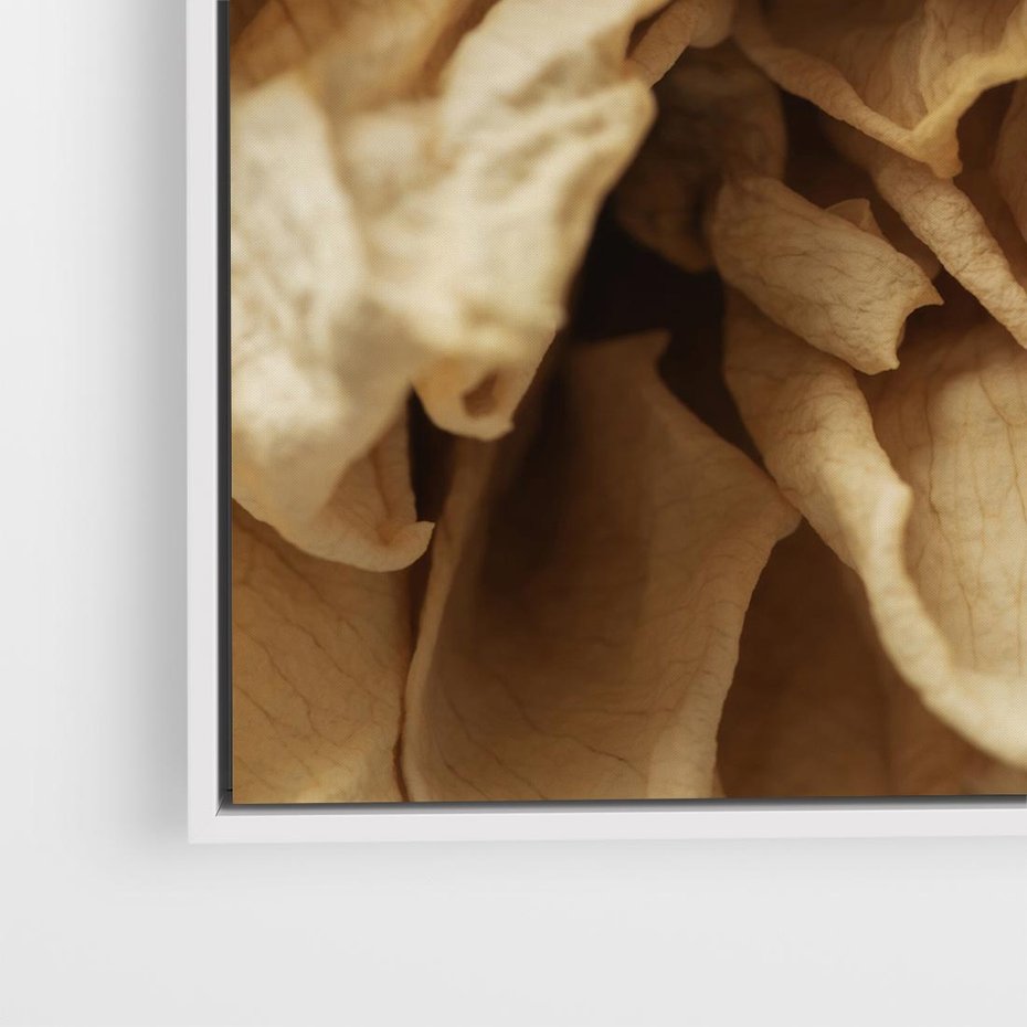 Obraz w ramie 80x80 - Zjawiskowe zasuszone kwiaty - zasuszone, kwiaty - rama biała