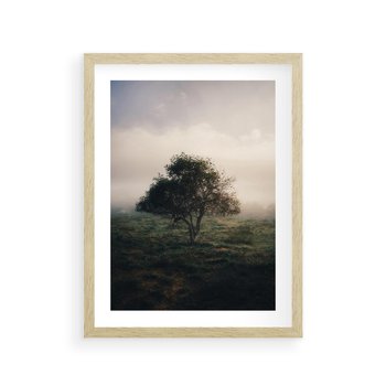 Plakat w ramie 50x70 - Zamglona Prostota - artystyczna fotografia, samotne drzewo na zamglonej łące - rama drewno