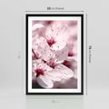 Plakat w ramie 50x70 - Kwitnąca Wiśnia - kwiaty, kwitnąca - rama czarna