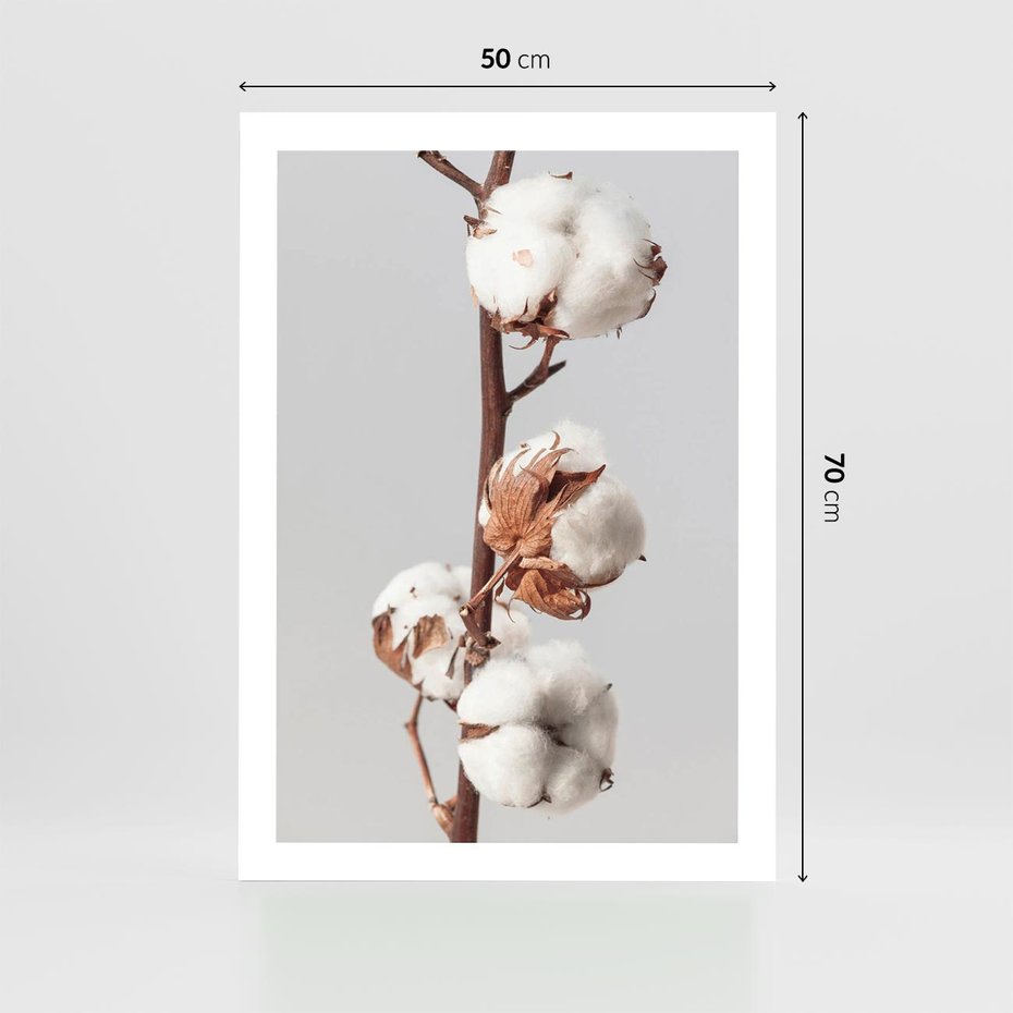 Plakat bez ramy 50x70 - Spokojna Gałązka Bawełny - gałązka bawełny, prosta spokojna fotografia