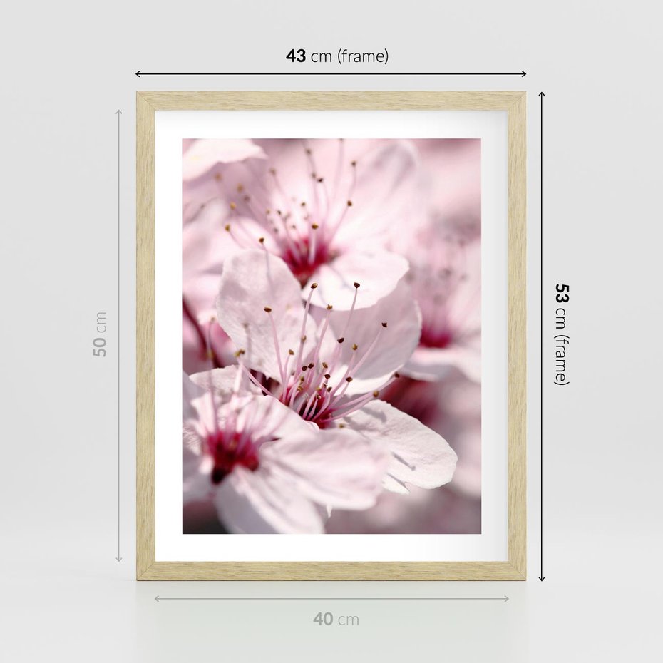 Plakat w ramie 40x50 - Kwitnąca Wiśnia - kwiaty, kwitnąca - rama drewno
