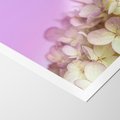 Plakat bez ramy 21x30 - Kwiatowa Uroda - kwiaty, hortensje