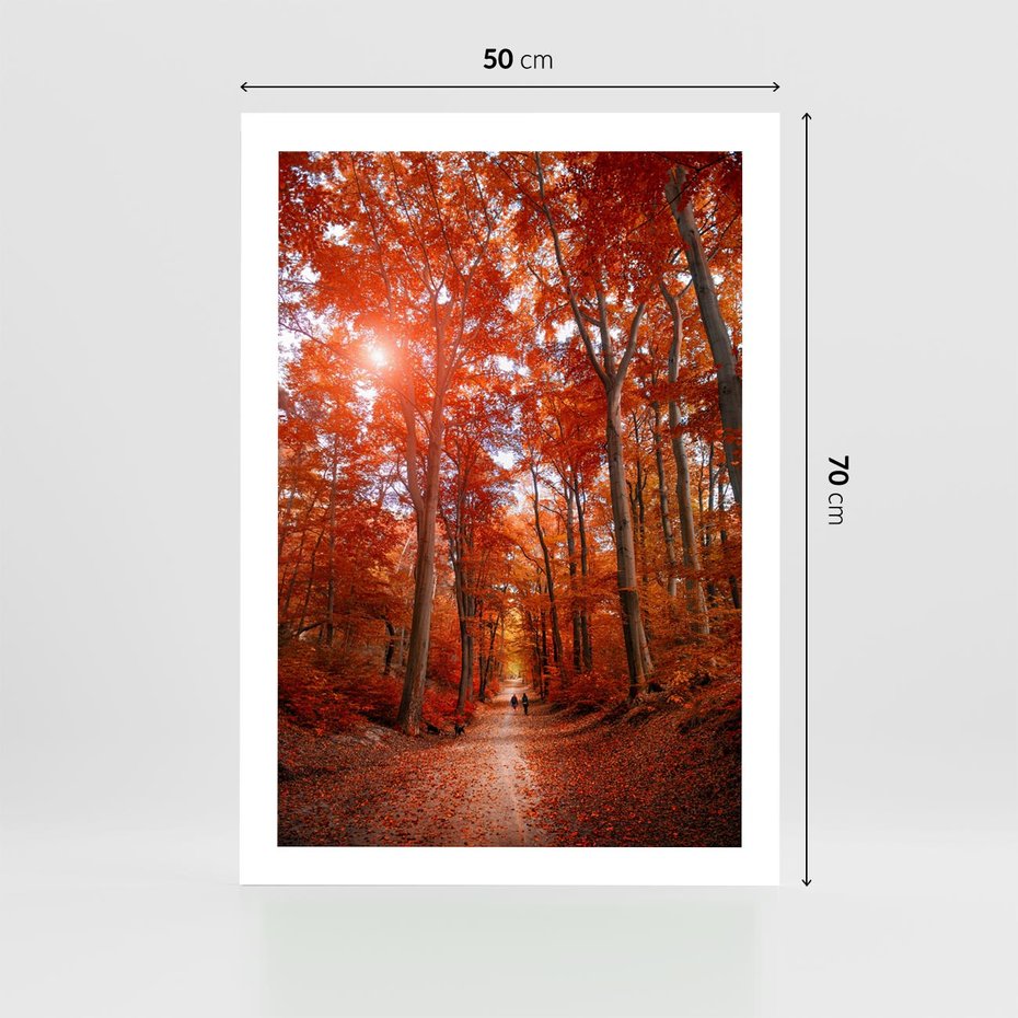 Plakat bez ramy 50x70 - Magia jesiennego lasu - las, jesień