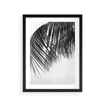 Plakat w ramie 30x40 - Czarno-Biały Kontrast - czarno białe zdjecie, palma - rama czarna