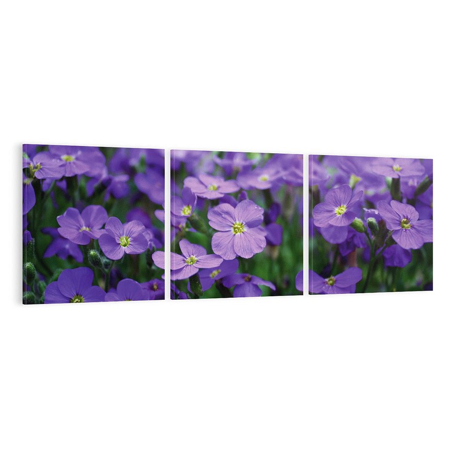 Obraz na płótnie 120x40 - Kwiatowe uniesienia magia natury - kwiat, kwiaty