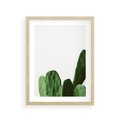 Plakat w ramie 30x40 - Minimalizm Natury - kaktus, zbliżenie - rama drewno