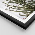 Plakat w ramie 50x70 - Ekskluzywna Roślinność - kaktusy, liście - rama czarna