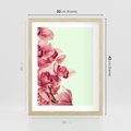 Plakat w ramie 30x40 - Orchidea - delikatne kwiaty - orchidea, kwiaty - rama drewno