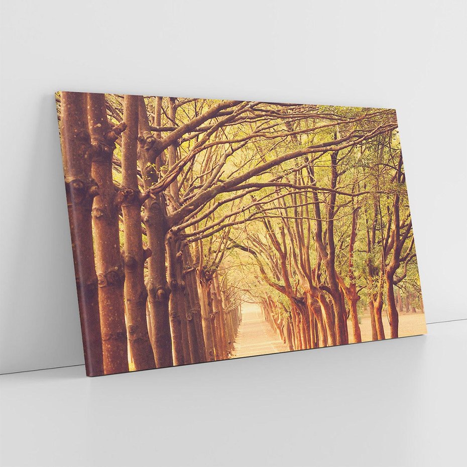 Obraz na płótnie 100x70 - Wędrówka między drzewami - droga, drzewa