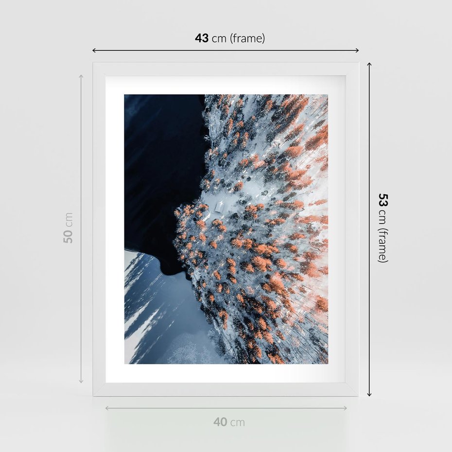 Plakat w ramie 40x50 - Lot Ptaka - zima, zimowy krajobraz - rama biała