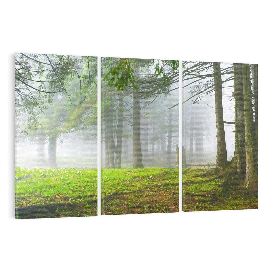 Obraz na płótnie 120x80 - Drzewa w harmonii - las, drzewa