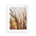 Plakat w ramie 40x50 - Malownicza Łąka z Trawam - trawy, łąka - rama biała