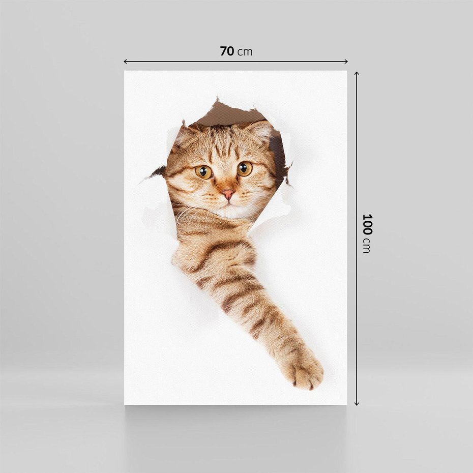 Obraz na płótnie 70x100 - Kot w Dziurze - kot, dziura