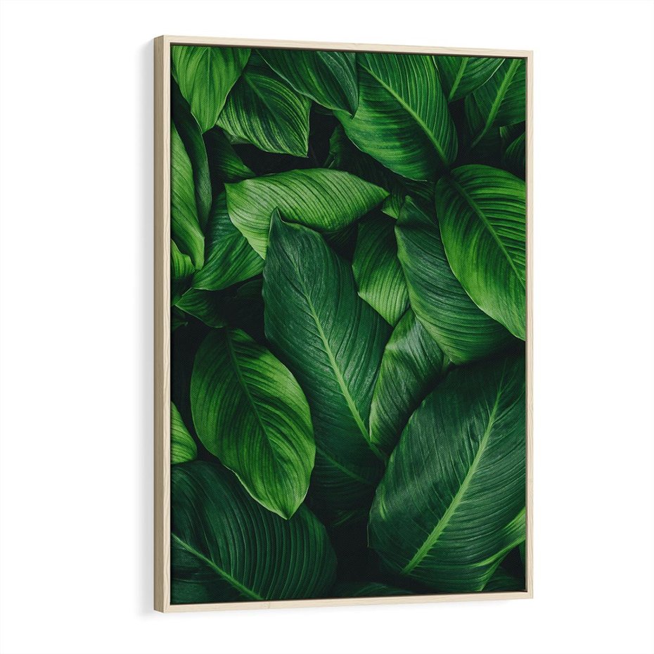 Obraz w ramie 80x120 - Palma Liście Kwiat - palma, liście - rama drewno