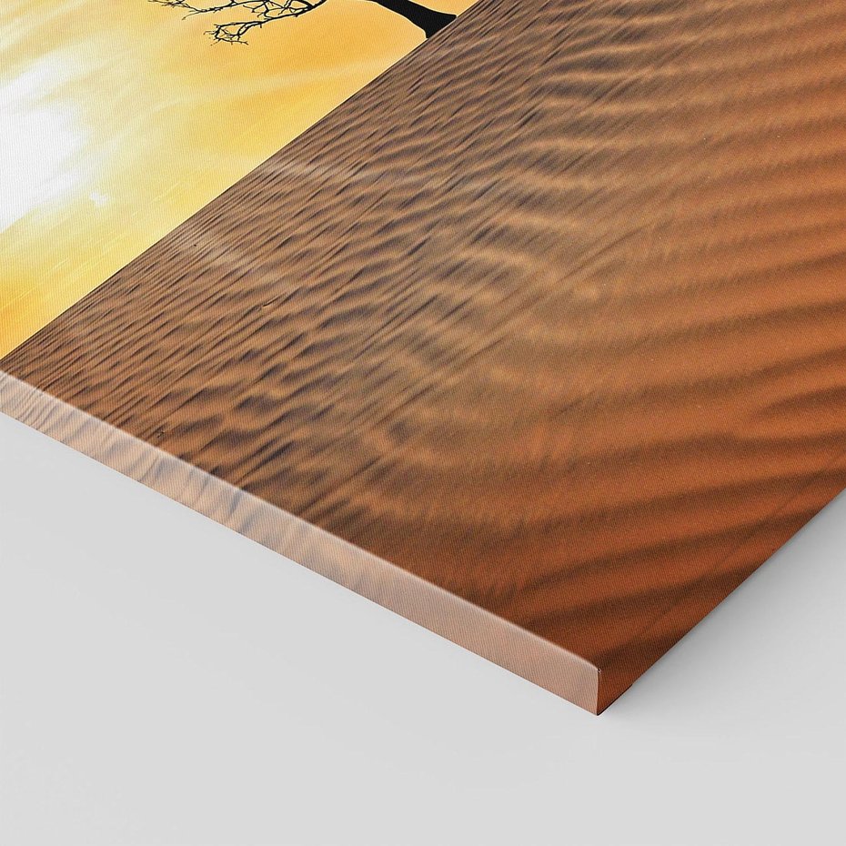 Obraz na płótnie 80x80 - Pustynia - Drzewo i słońce - pustynia, drzewo