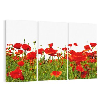 Obraz na płótnie 120x80 - Bujne maki na malowniczej łące - mak, maki