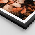 Plakat w ramie 30x40 - Jesienna Paleta - liście, jesień - rama czarna
