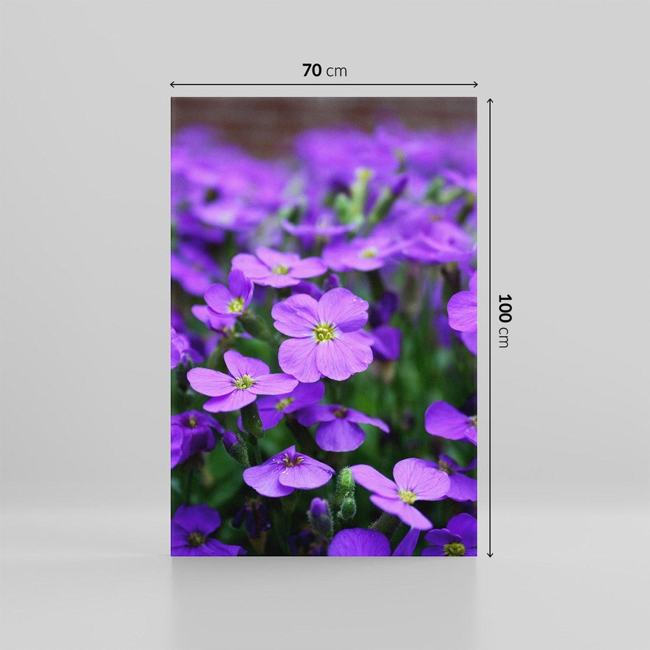 Obraz na płótnie 70x100 - Kwiatowe uniesienia magia natury - kwiat, kwiaty