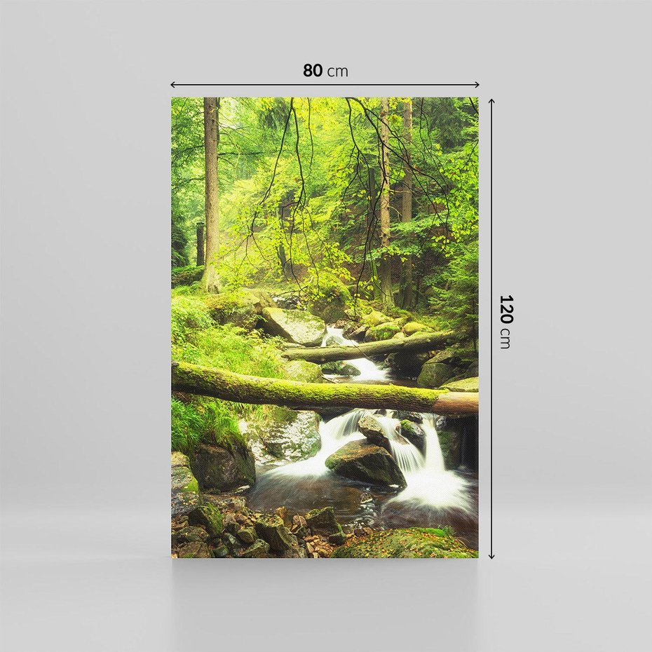 Obraz na płótnie 80x120 - Magiczny Strumień w Lesie - strumień, las