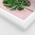 Plakat w ramie 40x50 - Monstera w Różowym Świetle - liść monstery, różowe tło - rama biała