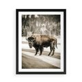 Plakat w ramie 50x70 - Spotkanie z Żubrem na Leśnej Drodze - żubr, las - rama czarna