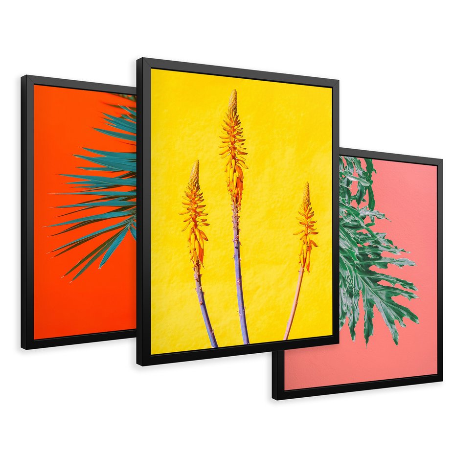 Zestaw obrazy w ramie 40x50 galeria - Rośliny, liście, kolorowe, energetyczne, tło - rama czarna