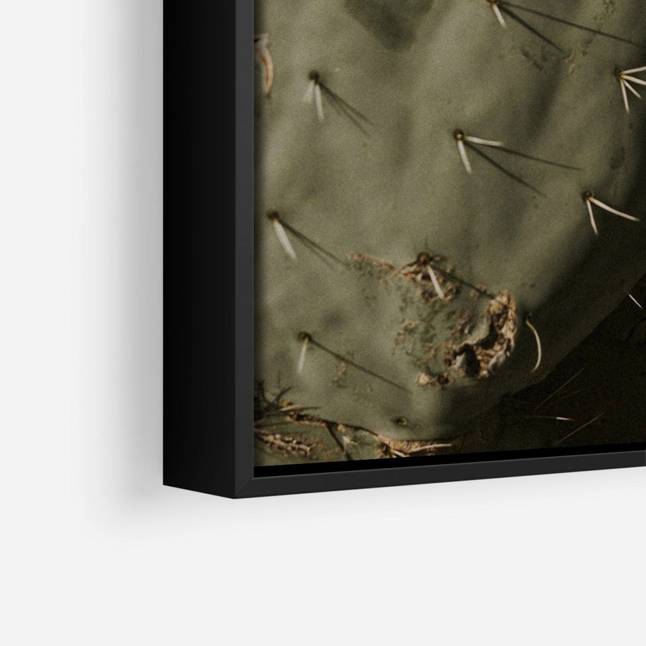 Obraz w ramie 50x70 - Urok Egzotyki - kaktusy, boho - rama czarna