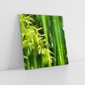 Obraz na płótnie 30x30 - Spokój bambusowego lasu SPA - bambus, drzewa
