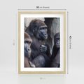 Plakat w ramie 30x40 - Małpy w ich naturalnym środowisku - małpy, szympansy - rama drewno