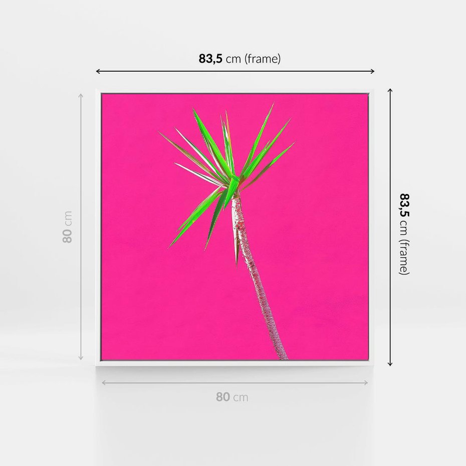 Obraz w ramie 80x80 - Retro Stylizacja - palma, liście - rama biała