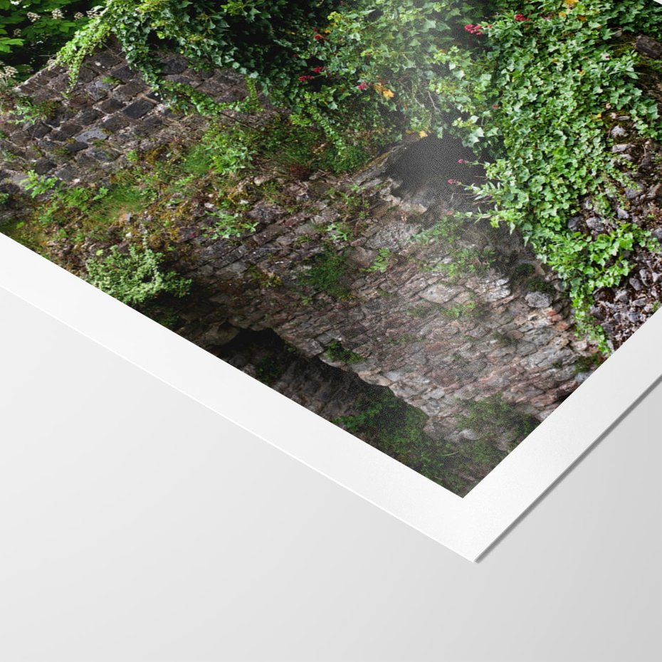 Plakat bez ramy 40x50 - Żywiołowa Zieleń - mur, liście