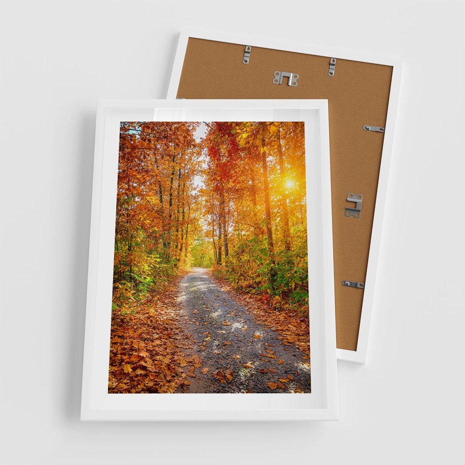 Plakat w ramie 50x70 - Kolorowe drzewa na ścieżce jesieni - las, jesień - rama biała