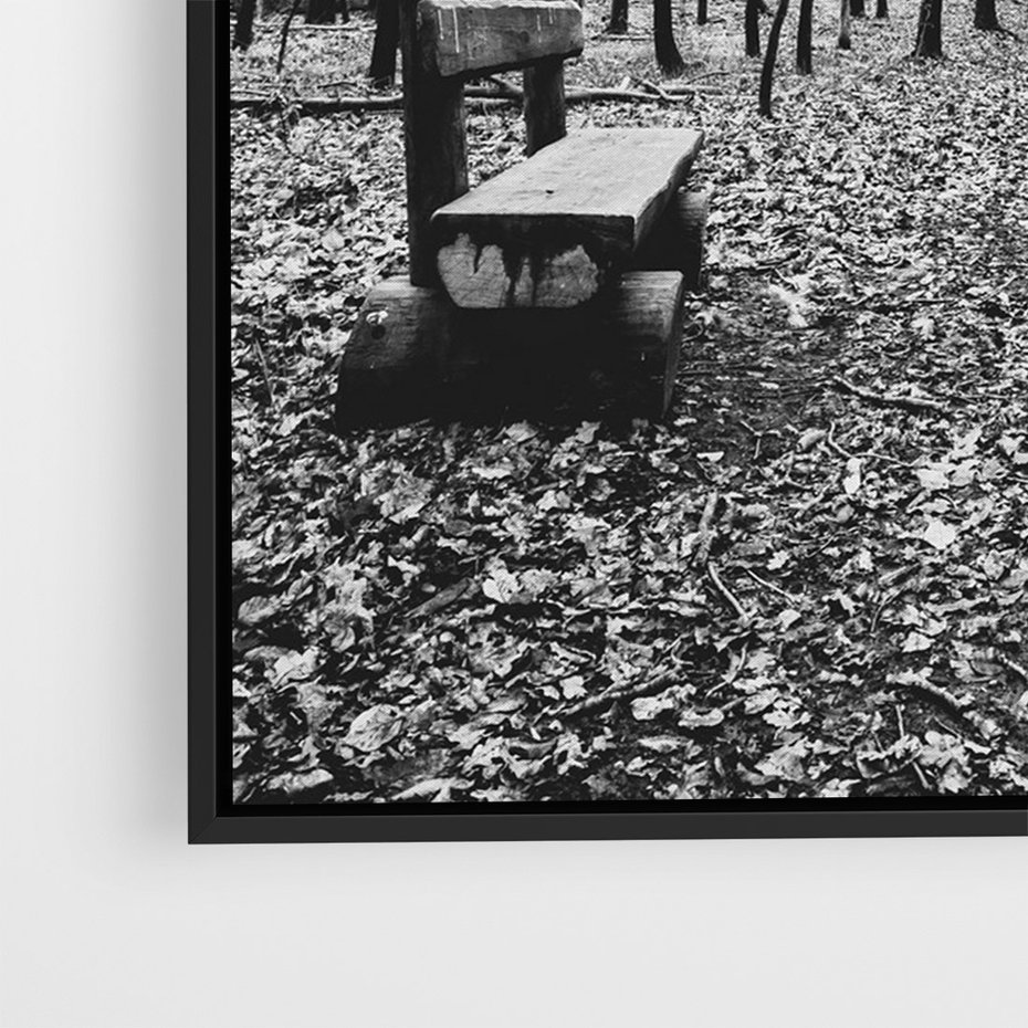 Obraz w ramie 50x70 - Spadające Liście - czarno białe zdjecie, park - rama czarna