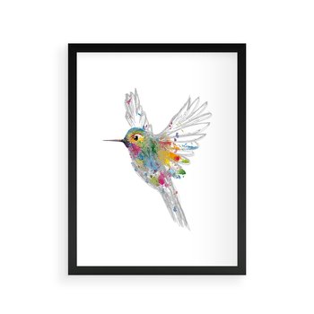 Plakat w ramie 50x70 - Koliber w akwareli - akwarela, koliber - rama czarna